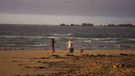 Zwei-Weibchen-Gehen-Bei-Sonnenaufgang-Mit-Ihren-Hunden-Am-Strand-Spazieren