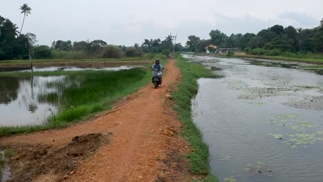 Motorbike-rider-riding-a-vintage-bike,Indian-road,road-between-water-field,gut-road