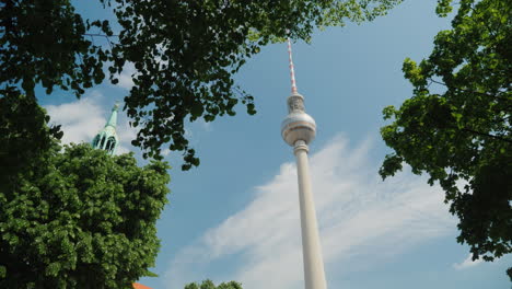 Berlin-TV-Tower-And-Tree-Canopy-01