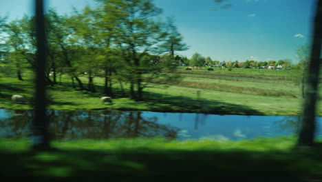 Netherlands-Green-Meadows-And-Canals