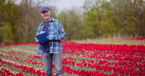 Farmer-Examining-Red-Tulips-At-Flower-Plantation-Field-Tulips-Plantation-