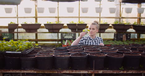 Female-Farner-Examining-Plants-At-Greenhouse-3