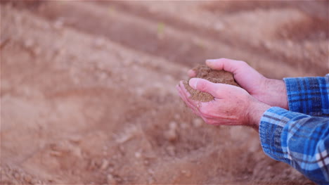Farmer-Examining-Organic-Soil-In-Hands-Farmer-Touching-Dirt-In-Agriculture-Field-15