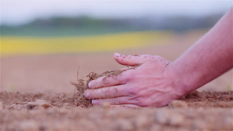 Farmer-Examining-Organic-Soil-In-Hands-Farmer-Touching-Dirt-In-Agriculture-Field-5