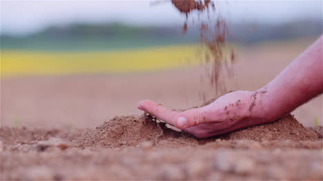Farmer-Examining-Organic-Soil-In-Hands-Farmer-Touching-Dirt-In-Agriculture-Field-7