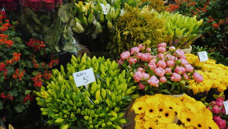 Bouquets-for-Sale-in-Amsterdam