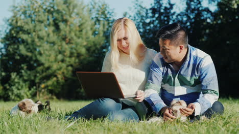 Couple-With-Laptop-and-Puppies-in-Backyard