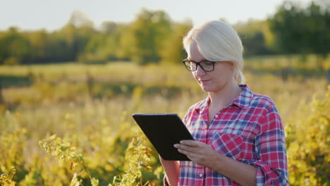 Woman-With-Tablet--in-Vineyard