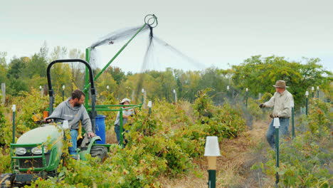 Farmers-Netting-Vineyard-With-Machine
