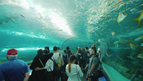 Visitors-in-Aquarium-Shark-Tunnel
