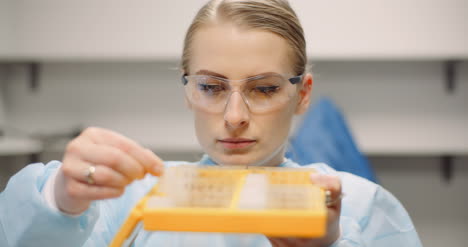 El-Científico-Está-Mirando-Las-Placas-Con-Bacterias-En-El-Laboratorio