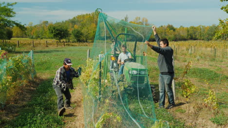 Farmers-Remove-Nets-From-Vineyard