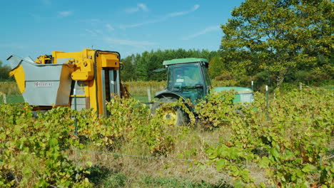 Tractor-Pulls-Mechanical-Grape-Harvester