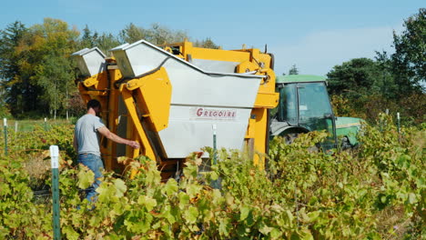 Farmers-Using-Mechanical-Grape-Harvester
