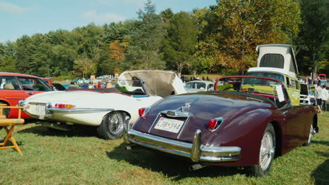 Classic-Cars-at-Outdoor-Car-Show