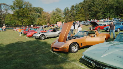 Rows-of-Classic-Cars-at-Car-Show