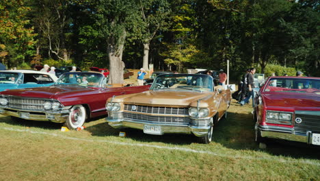 Row-of-Classic-Cadillac-Cars