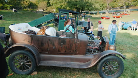 Dog-in-a-Classic-Car