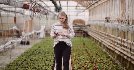 Agriculture-Female-Gardener-Using-Mobile-Phone-In-Greenhouse-2