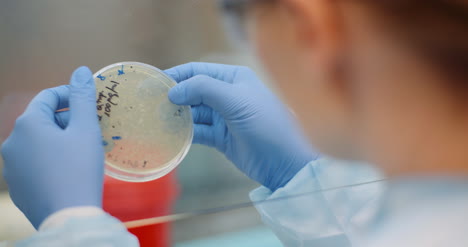 Scientist-Looking-At-Coronavirus-Virus-And-Bacteries-On-Petri-Dish-At-Laboratory