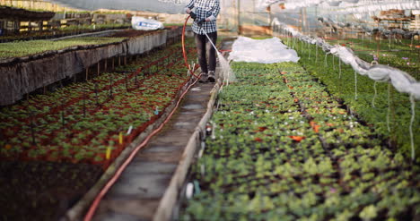 Agriculture-Gardener-Watering-Flowers-At-Greenhouse-3