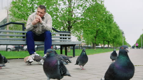 Middle-Aged-Man-Feeding-Pigeons-In-The-Park