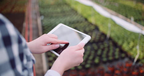 Gardener-Using-Digital-Tablet-At-Greenhouse