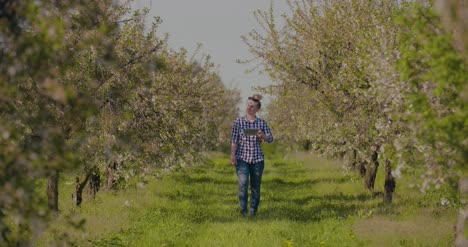 Agronomist-Or-Farmer-Examining-Blossom-Branch-In-Orchard-14