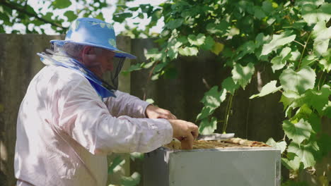 Imker-Inspiziert-Rahmen-Mit-Bienen-Arbeitet-Im-Bienenhaus-4k-Video