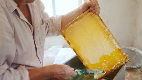 Ein-älterer-Imker-Arbeitet-Mit-Rahmen-Für-Honighandarbeit-Im-Bienenhaus-4k-Video