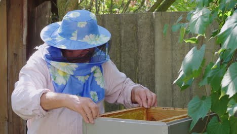Ein-älterer-Imker,-Der-In-Einem-Bienenhaus-In-Der-Nähe-Des-Bienenstocks-Arbeitet-4k-Video