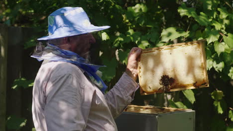 Ein-älterer-Imker,-Der-In-Einem-Bienenhaus-In-Der-Nähe-Des-Bienenstocks-Arbeitet-4k-Video