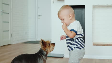 1-Year-Cool-Kid-Feeds-Dog-Biscuits-Hd-Video
