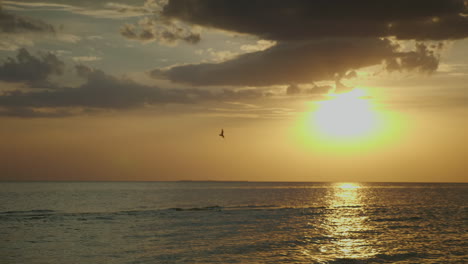 Sunset-Over-The-Sea-Seagulls-Fly-Against-The-Background-Of-The-Solar-Disk-Hd-10-Bit-Video