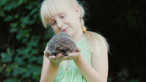 A-Happy-Child-Holds-A-Small-Hedgehog-In-His-Hands-Children-And-Wildlife-A-Well-Healed-And-Caring-Con