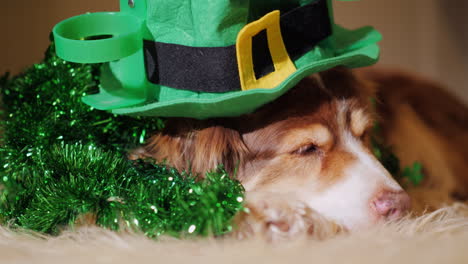 Portrait-Of-A-Cute-Shepherd-Dog-In-St-Patrick's-Day-Decorations-One-Of-The-Most-Popular-Holidays-In-