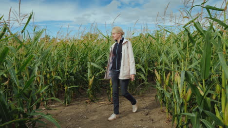 Young-Woman's-Outdoor-Activity-Inside-A-Large-Corn-Maze