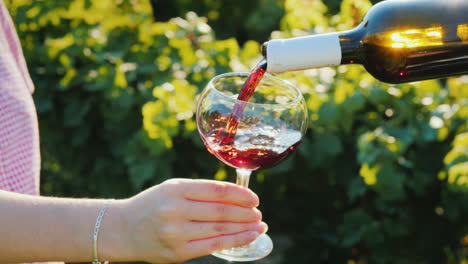 Pouring-Red-Wine-Into-Glasses-On-The-Background-Of-The-Vine-Wine-Tasting