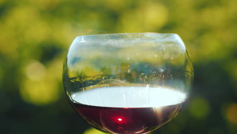 A-Glass-Of-Red-Wine-On-The-Background-Of-The-Vineyard-The-Sun-Glitters-On-The-Glass