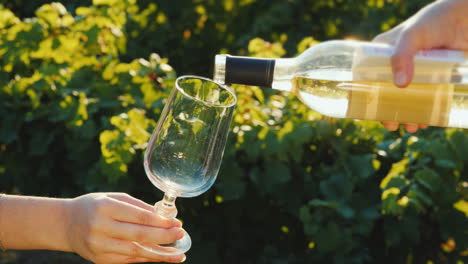 Pouring-White-Wine-Into-Glasses-On-The-Background-Of-The-Vine-Wine-Tasting