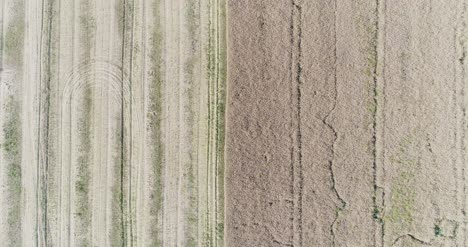 Various-Agriculture-Fields-Aerial-View