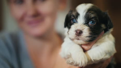 Woman-Holding-A-Cute-Puppy-In-A-Brown-White-Color