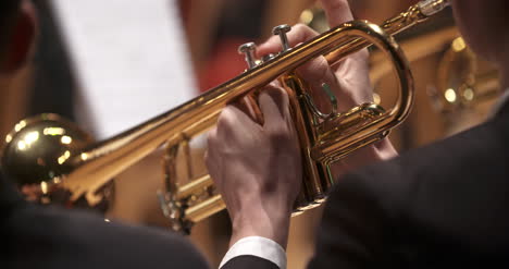 Musician-Playing-Trumpet-At-Concert-7
