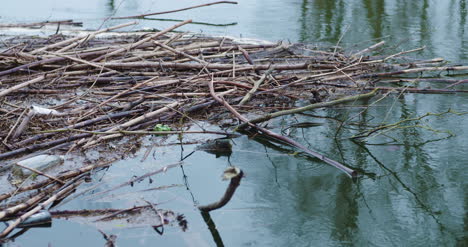 Sticks-And-Garbage-Floating-On-Lake