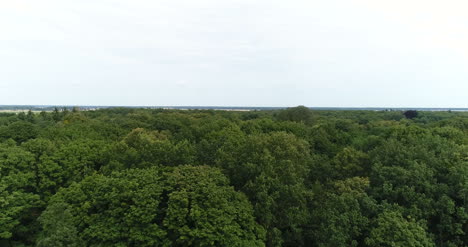 Flying-Over-Forest-Trees-Nature-Aerial-Views-2