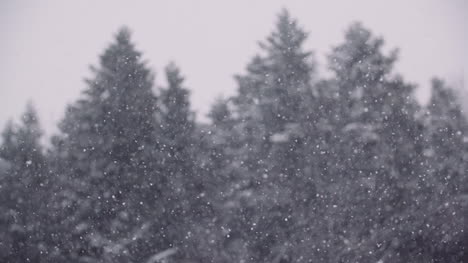 Snowflakes-Against-Snow-Covered-Trees-In-Mountains-4