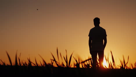 A-Young-Man-Stands-In-One-Field-And-Looks-At-The-Sunset