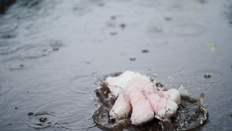 The-Plush-Pink-Hare-Falls-Into-A-Puddle-It's-Raining-Heavily
