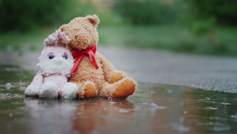 Faithful-Friends---A-Bunny-And-A-Bear-Cub-Sit-Side-By-Side-On-The-Road-Wet-Under-The-Pouring-Rain-Lo