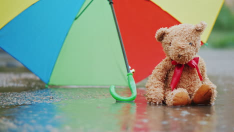 Lonely-Teddy-Bear-Sits-In-A-Puddle-In-The-Rain-4K-Video